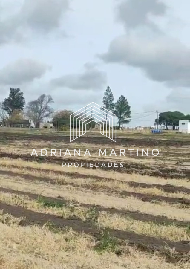 Campo en , - GoPunta - Portal Inmobiliario de Punta del Este - Maldonado