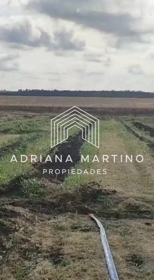Campo en , - GoPunta - Portal Inmobiliario de Punta del Este - Maldonado