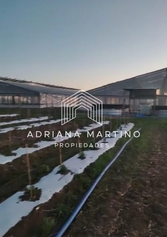Campo en , - GoPunta - Portal Inmobiliario de Punta del Este - Maldonado