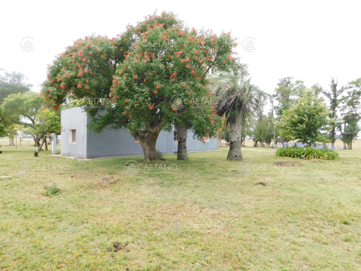 Pueblo Garzón - GoPunta - Portal Inmobiliario de Punta del Este - Maldonado