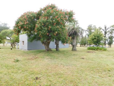 Campo- Chacra en VENTA- entrada de pueblo garzon-35 hectareas