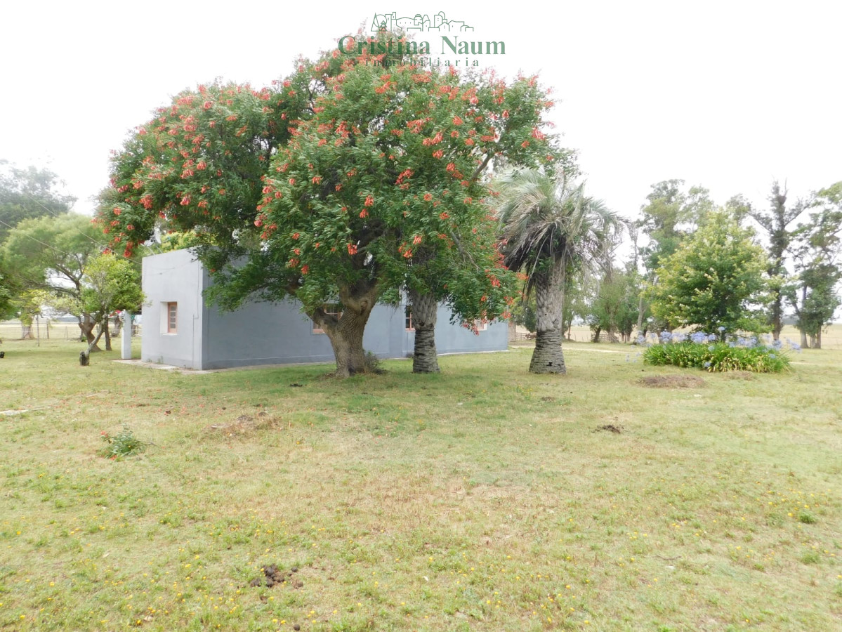 Pueblo Garzón - GoPunta - Portal Inmobiliario de Punta del Este - Maldonado