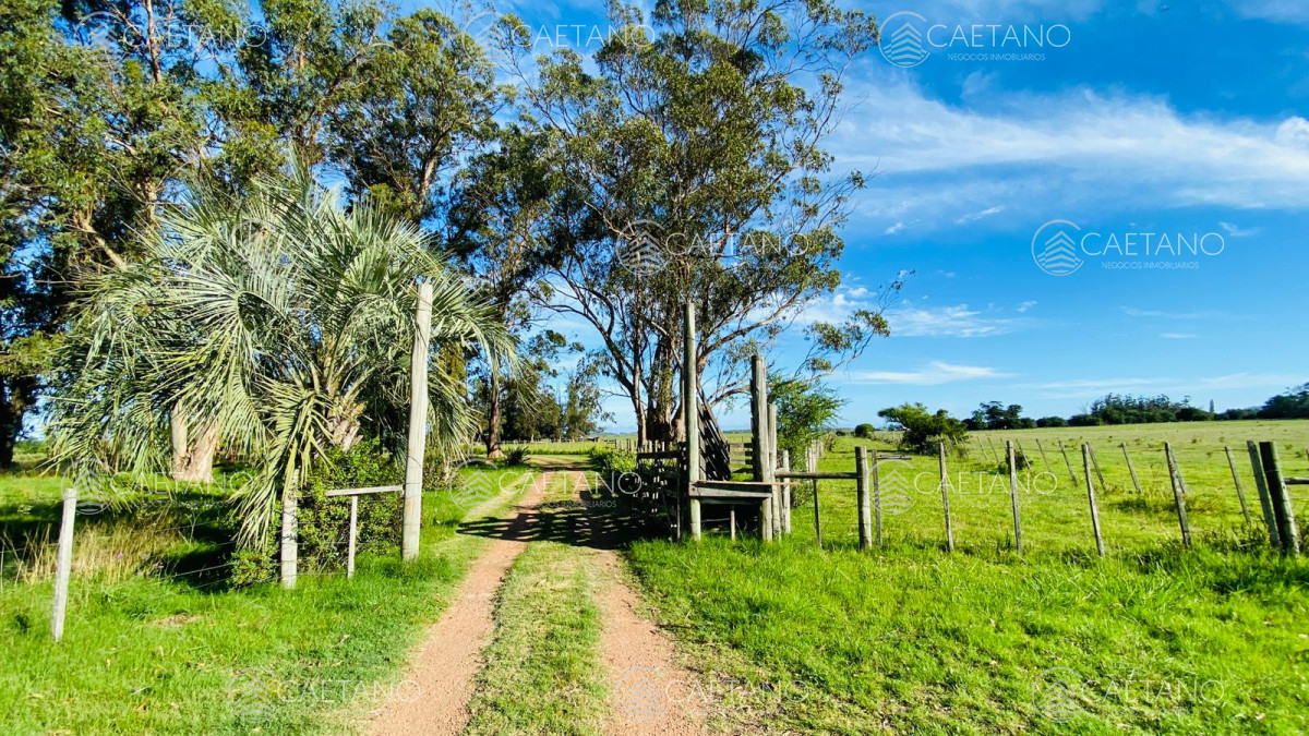Laguna del Sauce - GoPunta - Portal Inmobiliario de Punta del Este - Maldonado