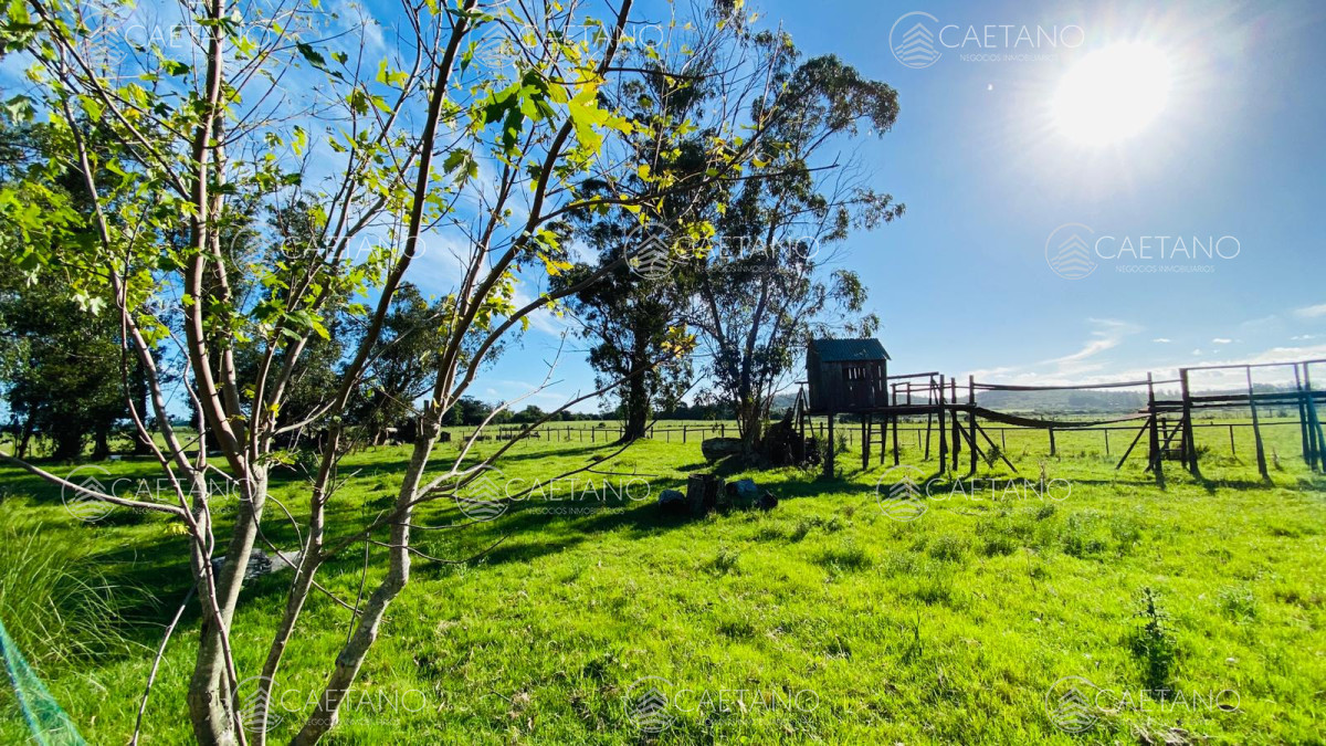 Laguna del Sauce - GoPunta - Portal Inmobiliario de Punta del Este - Maldonado