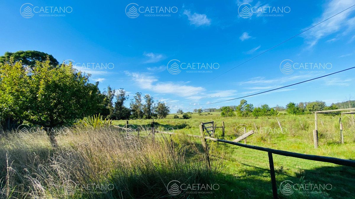 Laguna del Sauce - GoPunta - Portal Inmobiliario de Punta del Este - Maldonado