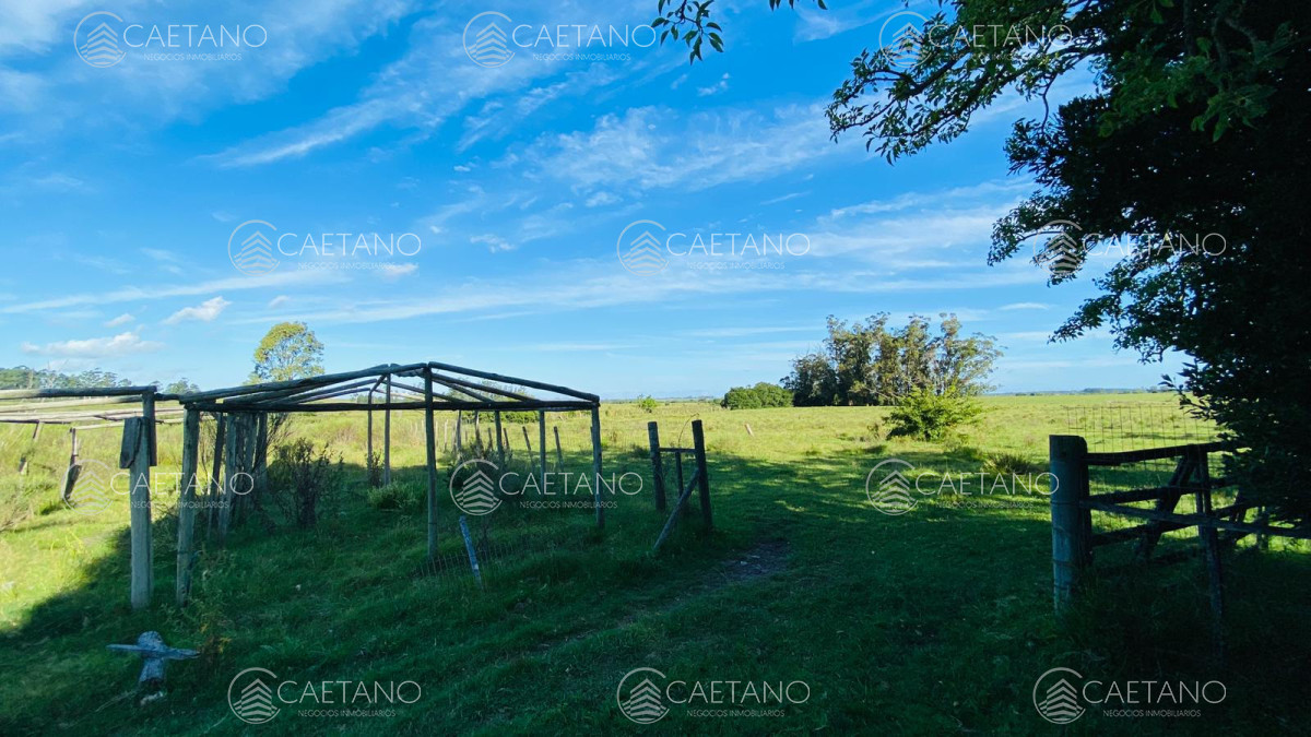 Laguna del Sauce - GoPunta - Portal Inmobiliario de Punta del Este - Maldonado