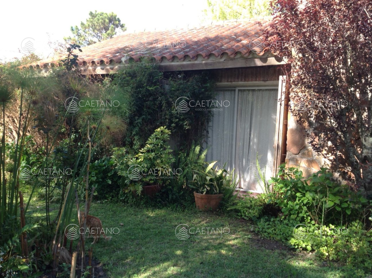 Maldonado - GoPunta - Portal Inmobiliario de Punta del Este - Maldonado