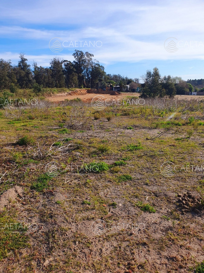 Golf - GoPunta - Portal Inmobiliario de Punta del Este - Maldonado