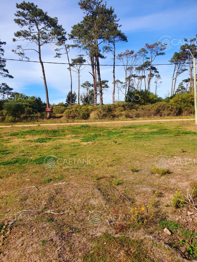 Golf - GoPunta - Portal Inmobiliario de Punta del Este - Maldonado