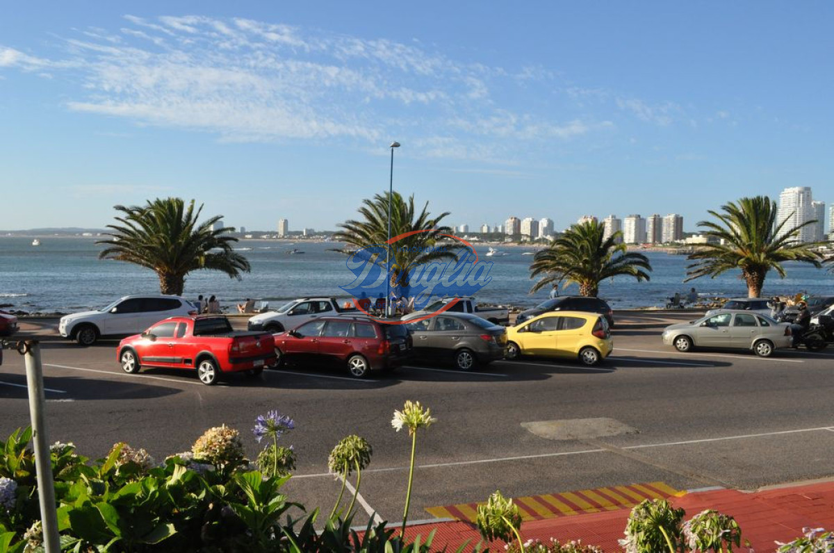 Península - GoPunta - Portal Inmobiliario de Punta del Este - Maldonado