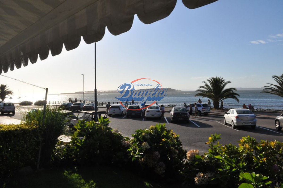 Península - GoPunta - Portal Inmobiliario de Punta del Este - Maldonado