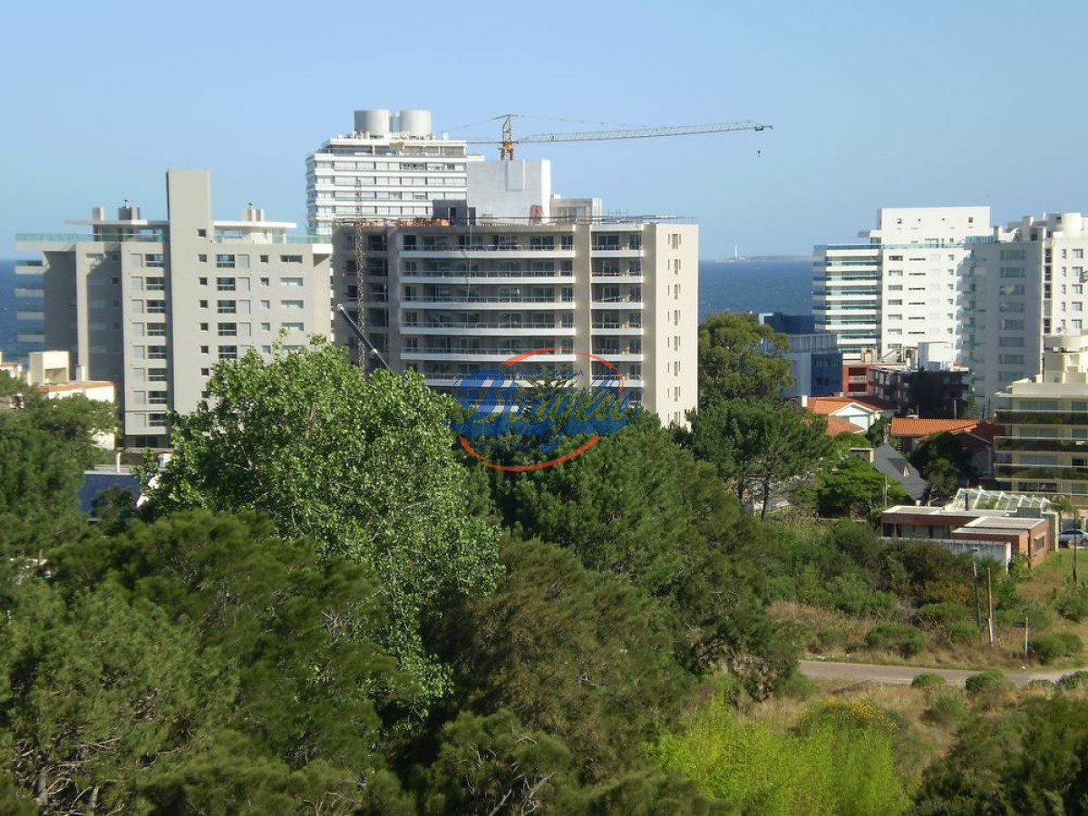Roosevelt - GoPunta - Portal Inmobiliario de Punta del Este - Maldonado