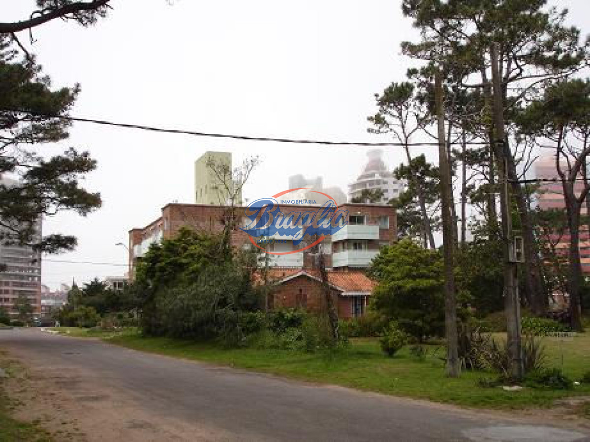 Aidy Grill - GoPunta - Portal Inmobiliario de Punta del Este - Maldonado
