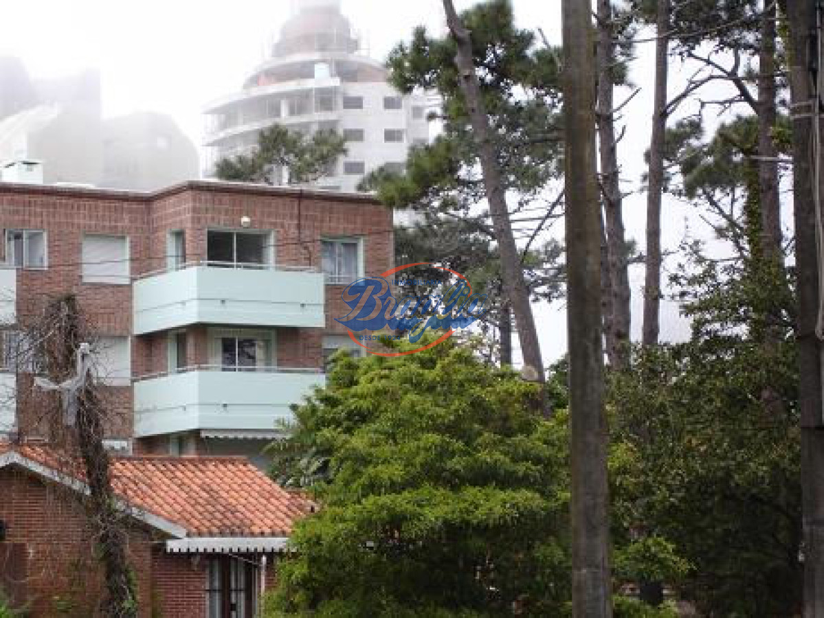 Aidy Grill - GoPunta - Portal Inmobiliario de Punta del Este - Maldonado