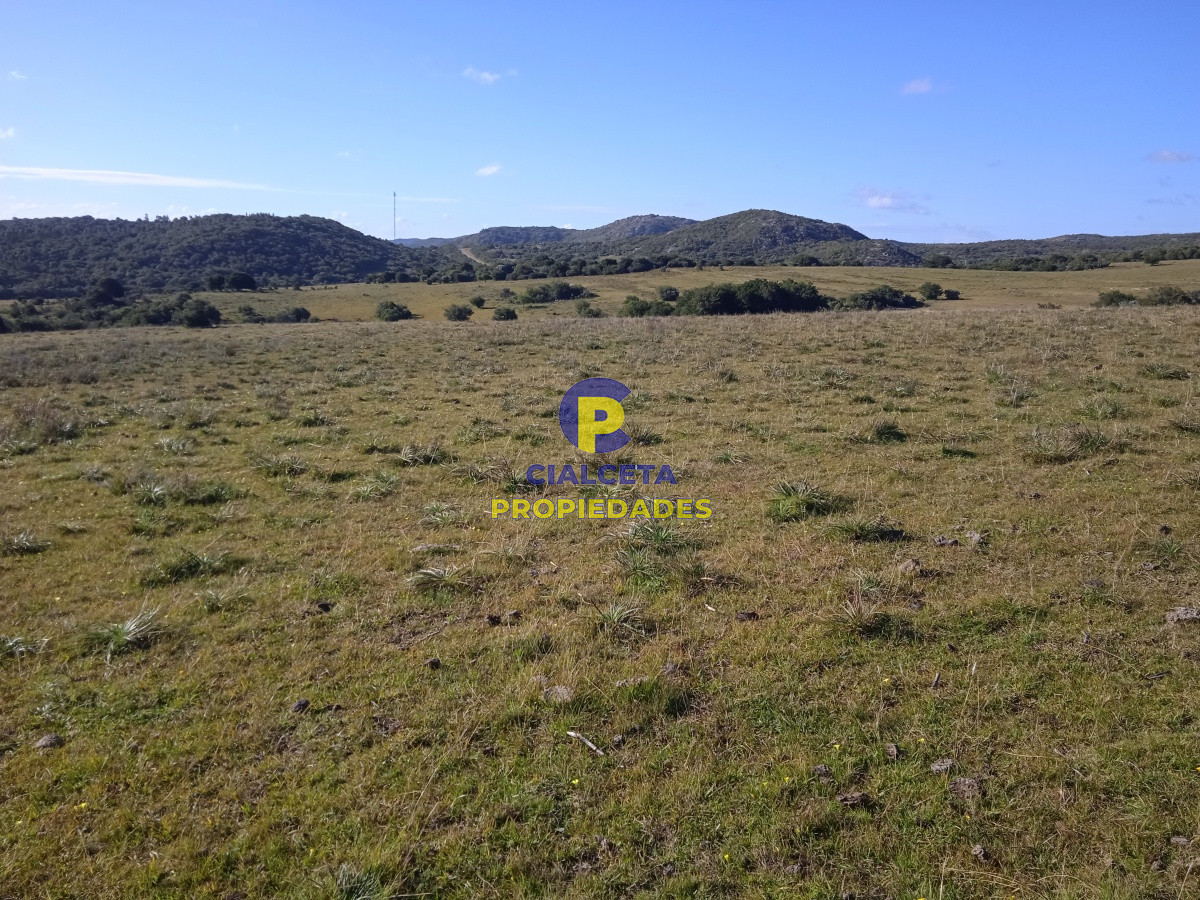 Aiguá - GoPunta - Portal Inmobiliario de Punta del Este - Maldonado