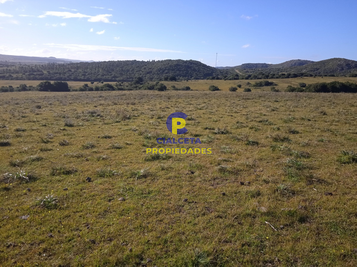 Aiguá - GoPunta - Portal Inmobiliario de Punta del Este - Maldonado