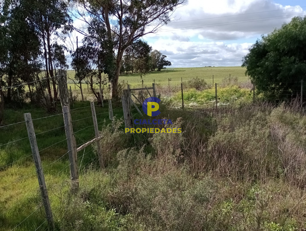 Migues - GoPunta - Portal Inmobiliario de Punta del Este - Maldonado