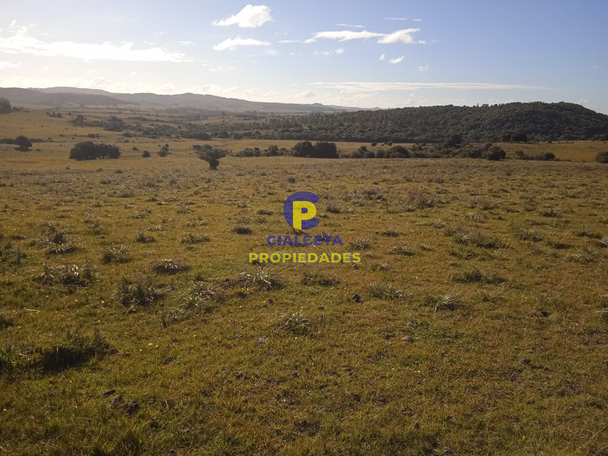 Aiguá - GoPunta - Portal Inmobiliario de Punta del Este - Maldonado