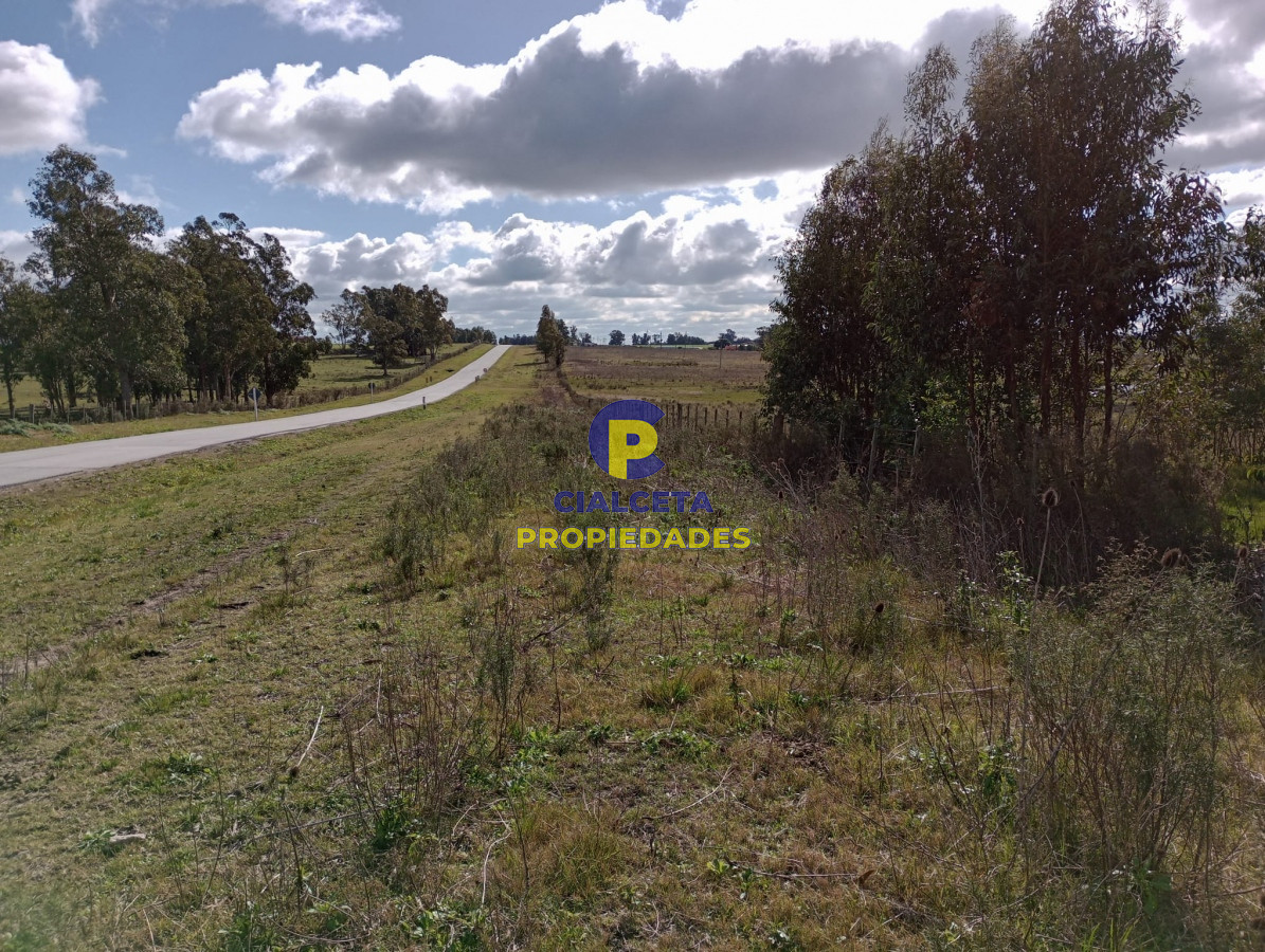 Migues - GoPunta - Portal Inmobiliario de Punta del Este - Maldonado