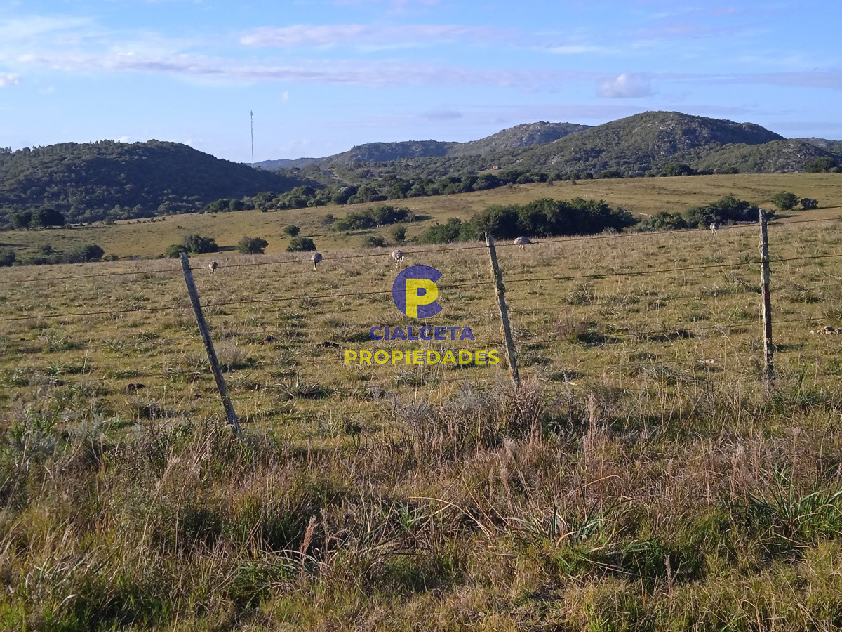 Aiguá - GoPunta - Portal Inmobiliario de Punta del Este - Maldonado