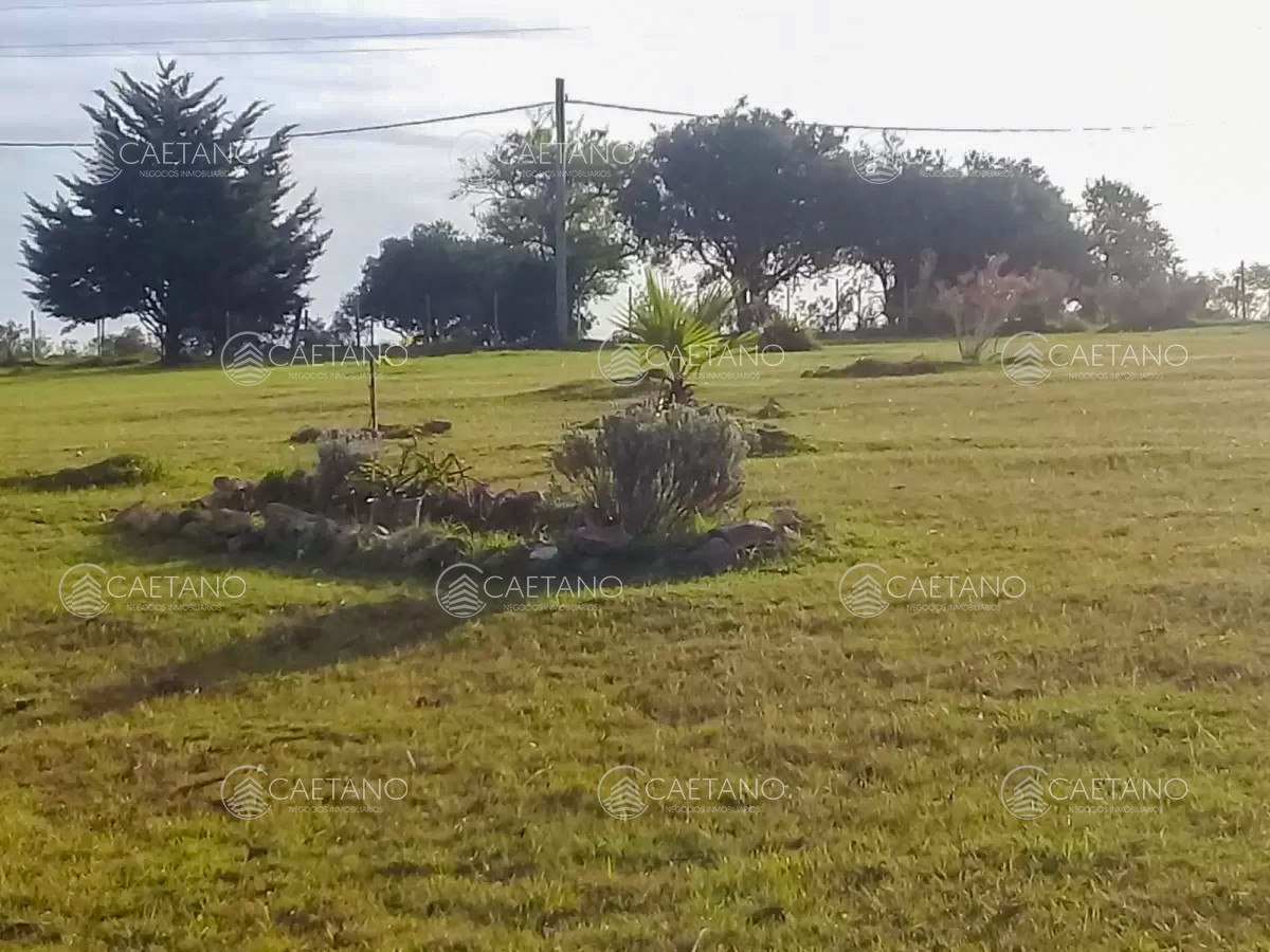 Espectacular Chacra   Maldonado - GoPunta - Portal Inmobiliario de Punta del Este - Maldonado