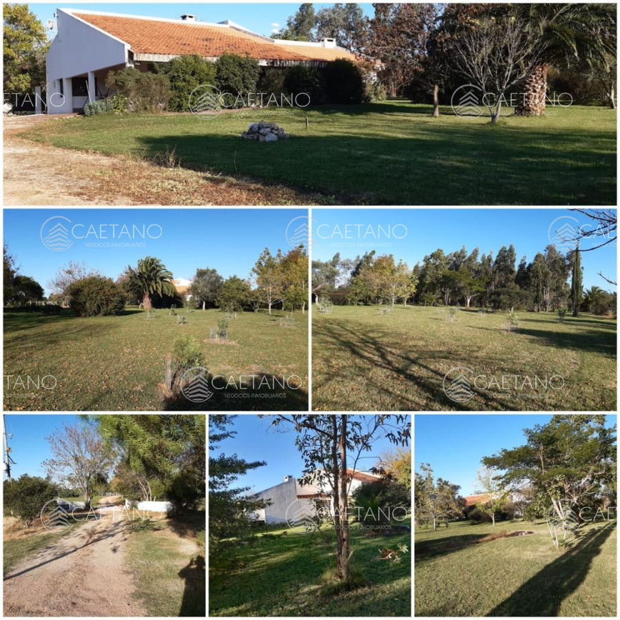 Oportunidad!! Chacra en venta 400m2, Maldonado - GoPunta - Portal Inmobiliario de Punta del Este - Maldonado