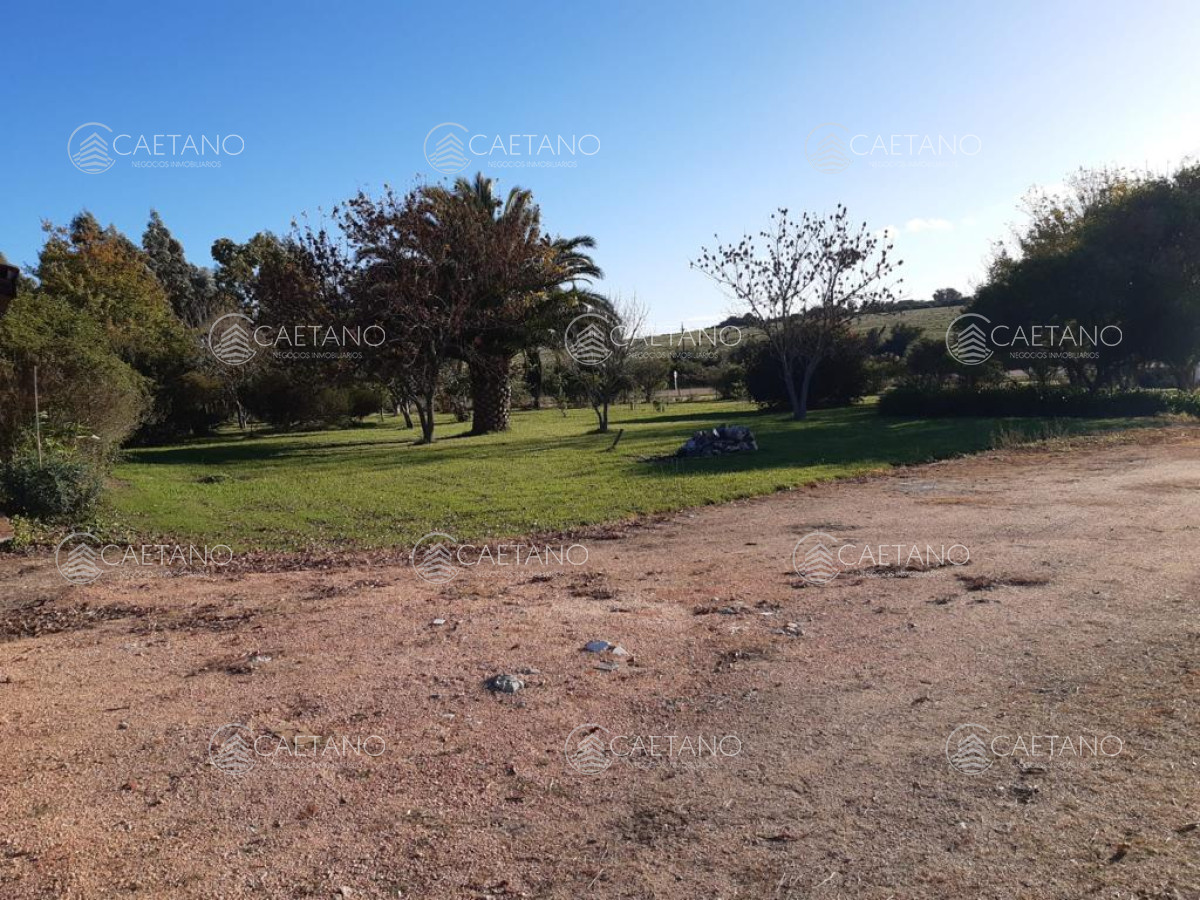 Oportunidad!! Chacra en venta 400m2, Maldonado - GoPunta - Portal Inmobiliario de Punta del Este - Maldonado