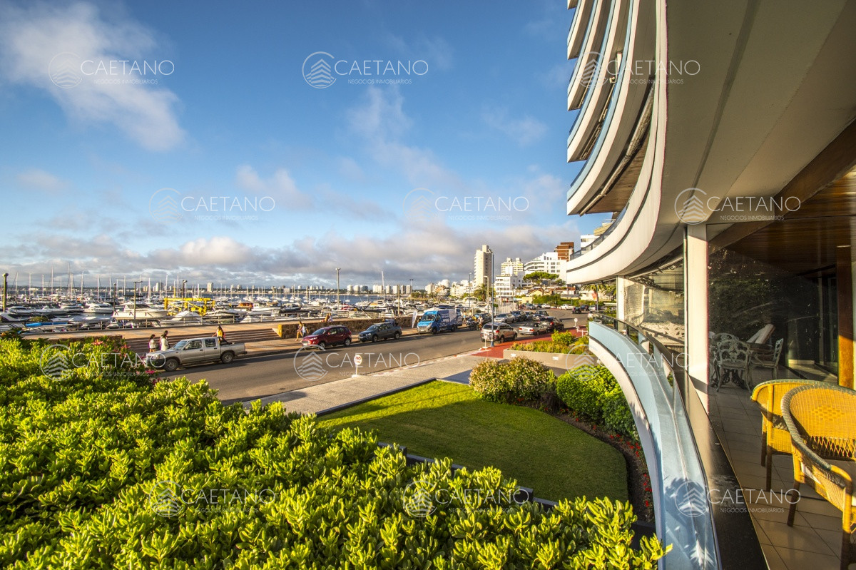 Puerto - GoPunta - Portal Inmobiliario de Punta del Este - Maldonado