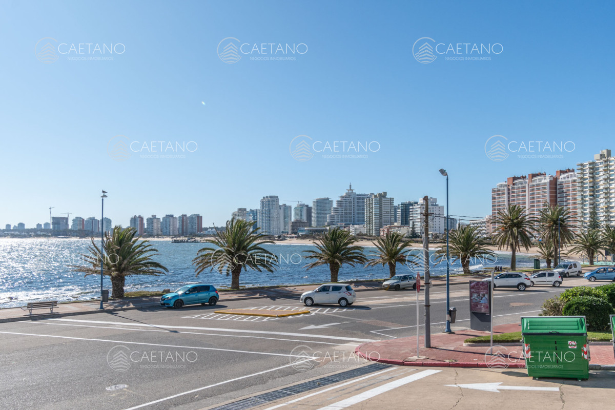 Península - GoPunta - Portal Inmobiliario de Punta del Este - Maldonado