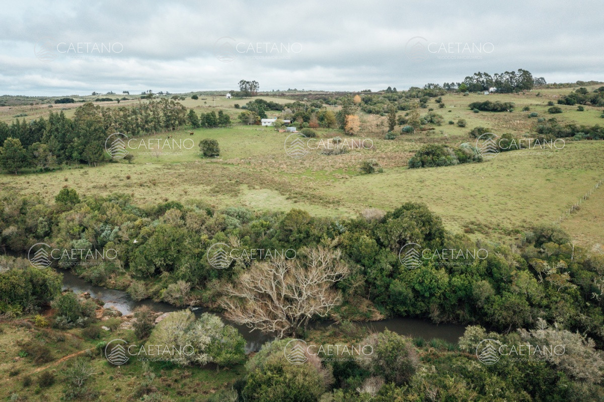 Propiedad - GoPunta - Portal Inmobiliario de Punta del Este - Maldonado