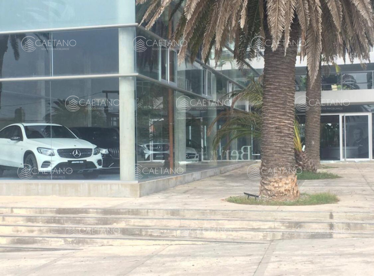 Península - GoPunta - Portal Inmobiliario de Punta del Este - Maldonado