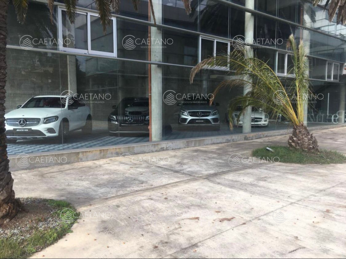 Península - GoPunta - Portal Inmobiliario de Punta del Este - Maldonado